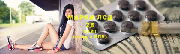 прущий лед Алзамай