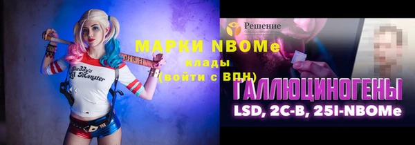 прущий лед Алзамай