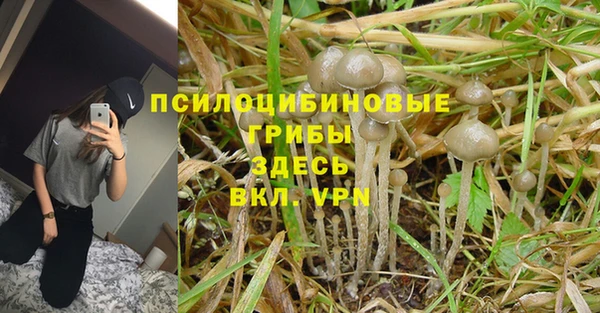 марихуана Алексеевка