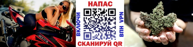 Каннабис индика  Самара 